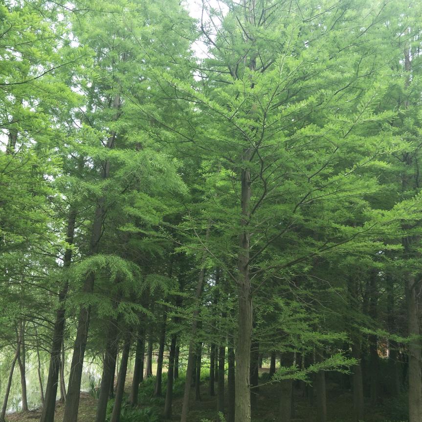 🦋এ᭄我姓ꦿ张💔别嚣张ོ࿐ᩚ