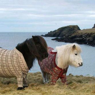 🌻春来江水绿如蓝