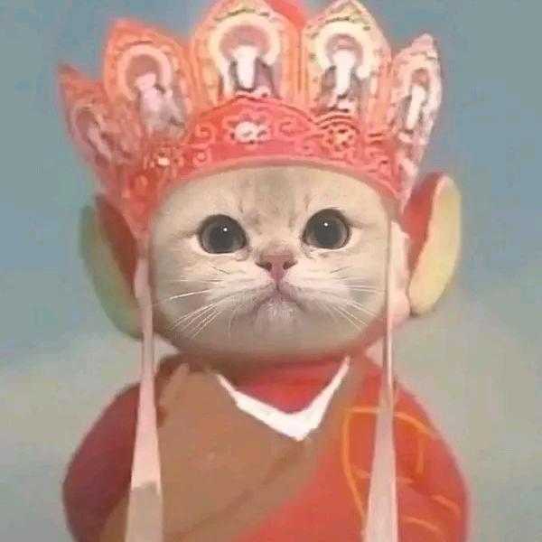 游小强