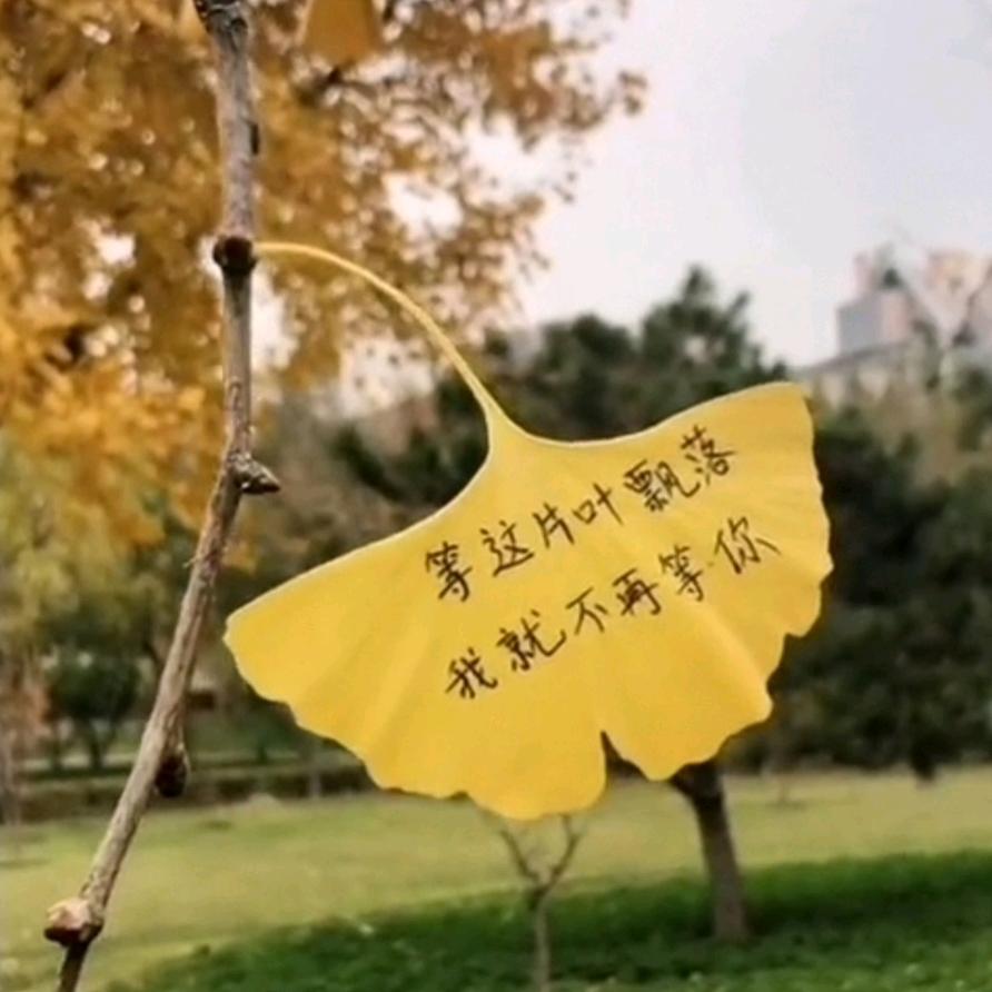 一个人的角落