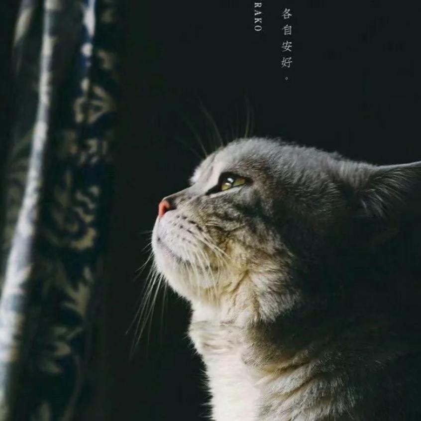 十七@
