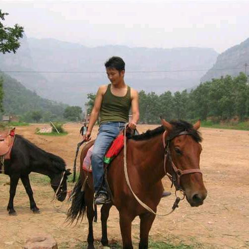 随遇而安，万事皆缘