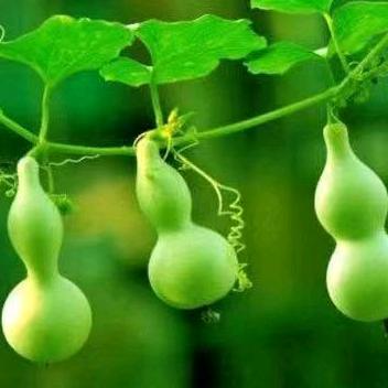 花姐😊😊