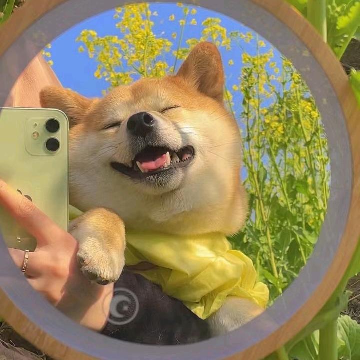 这个可以出名吗