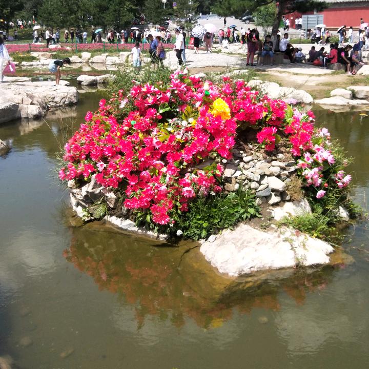 聚缘堂