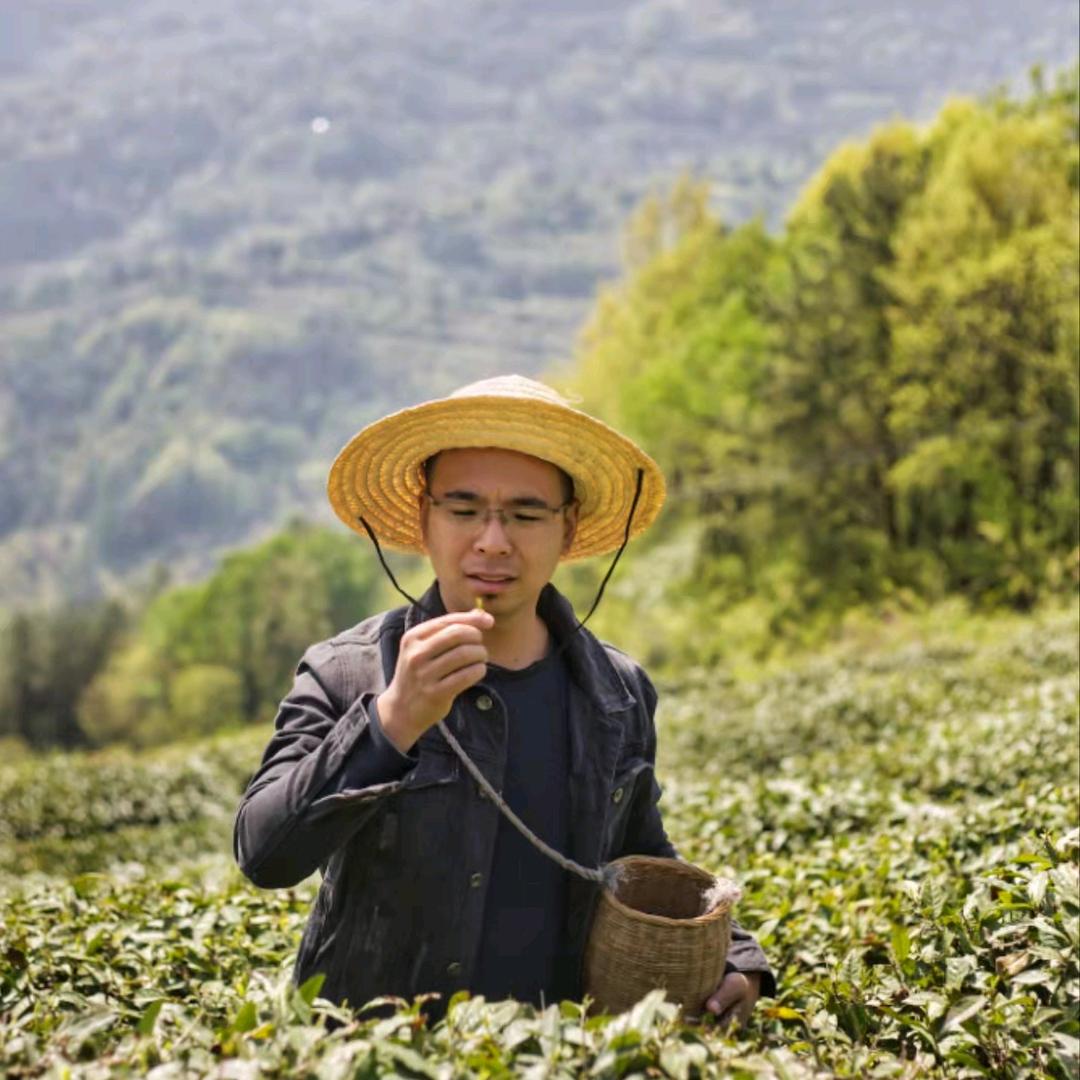 李兄说茶