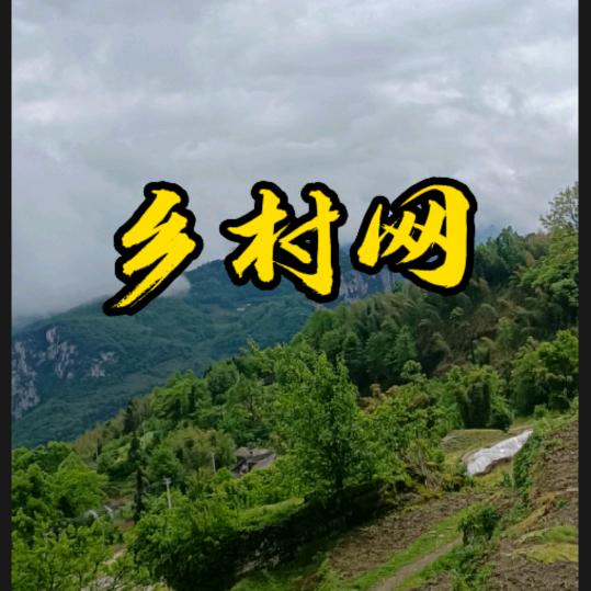 乡村网