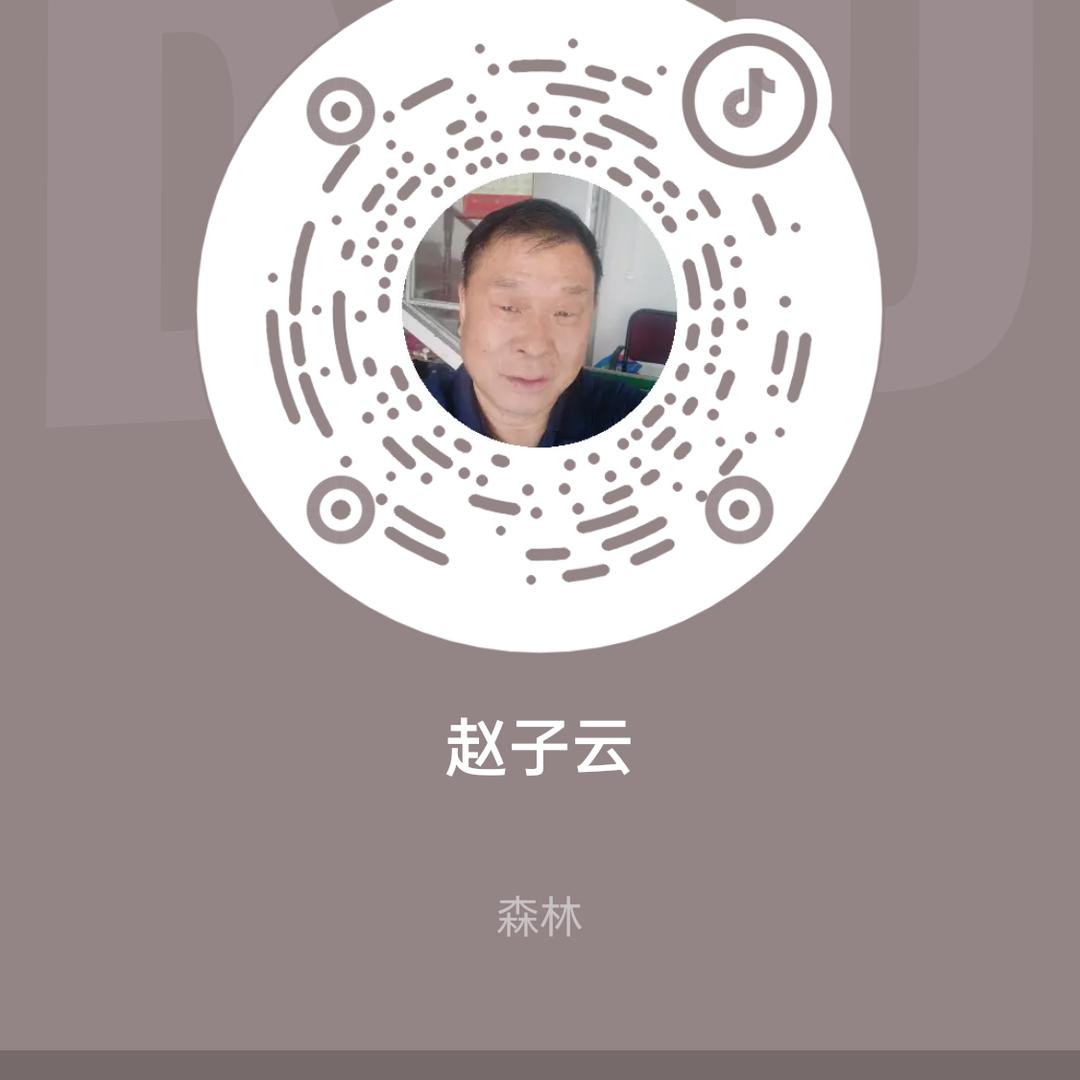 赵子云