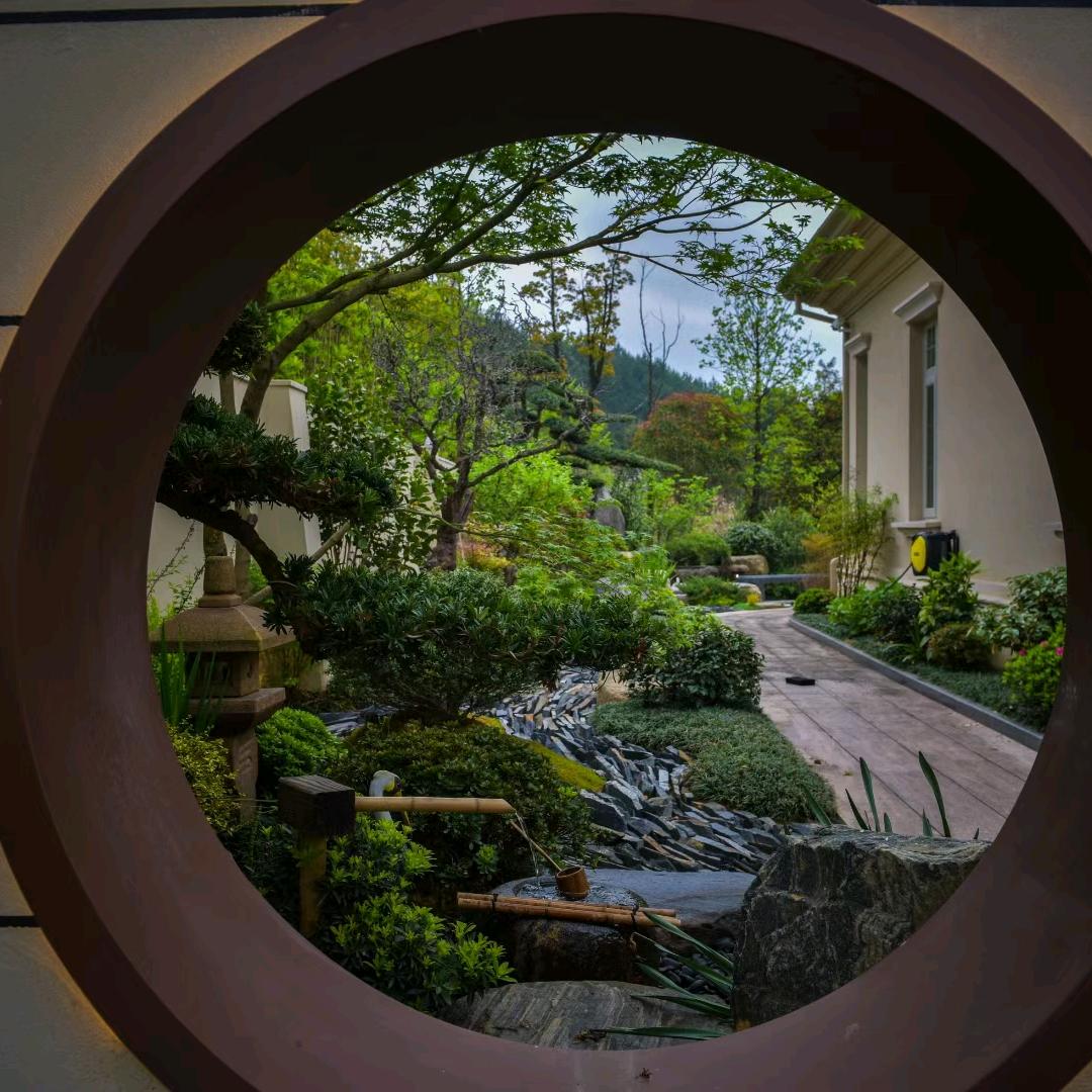 爱上植物的阿强