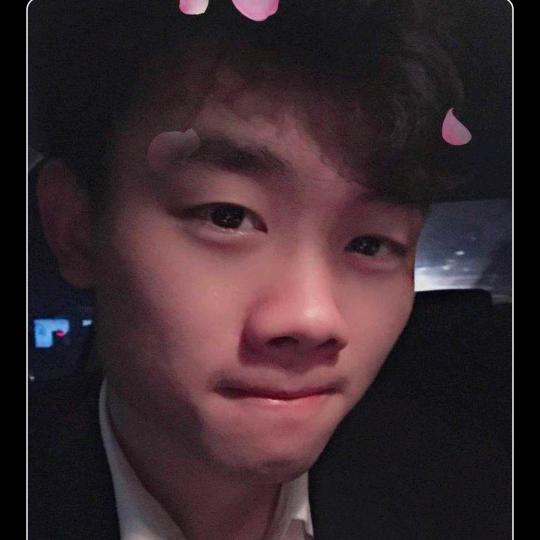 十一