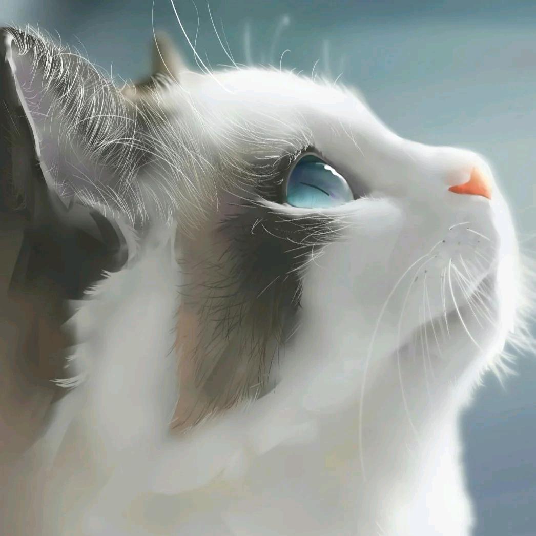 一⌒点
