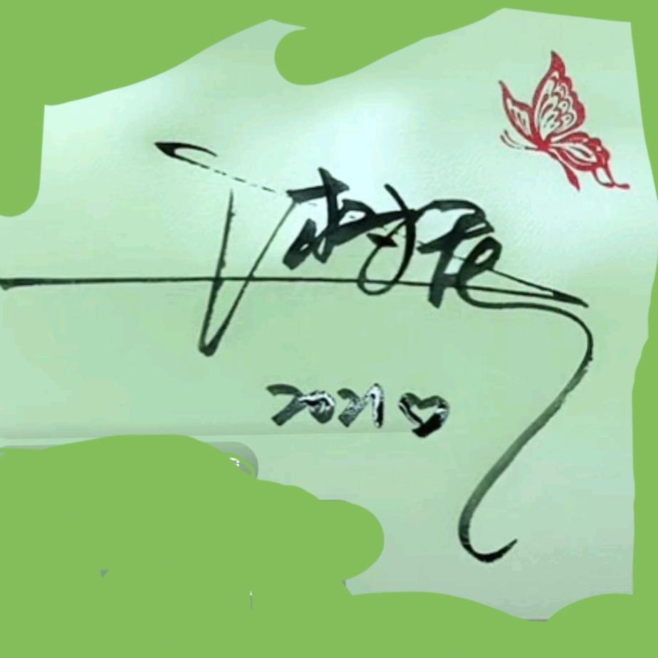 王树民