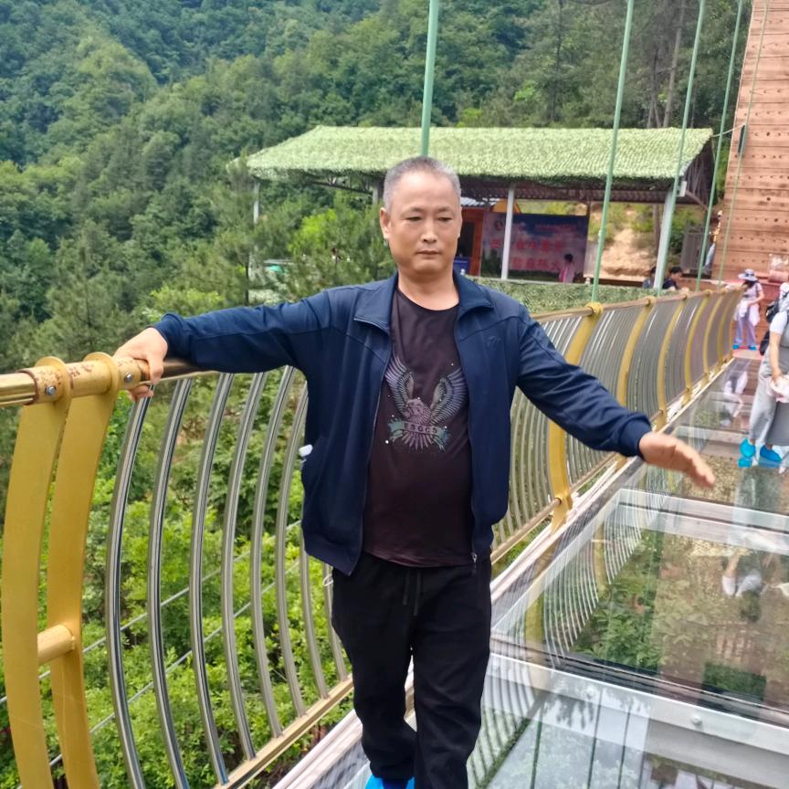 用户072384秦人秦风秦川牛