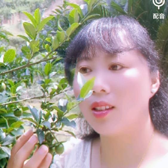 黎梅