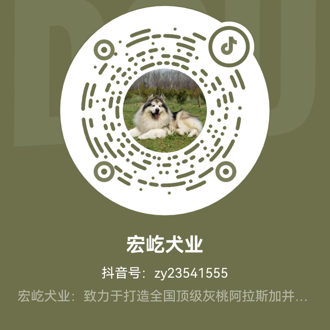 宏屹犬业