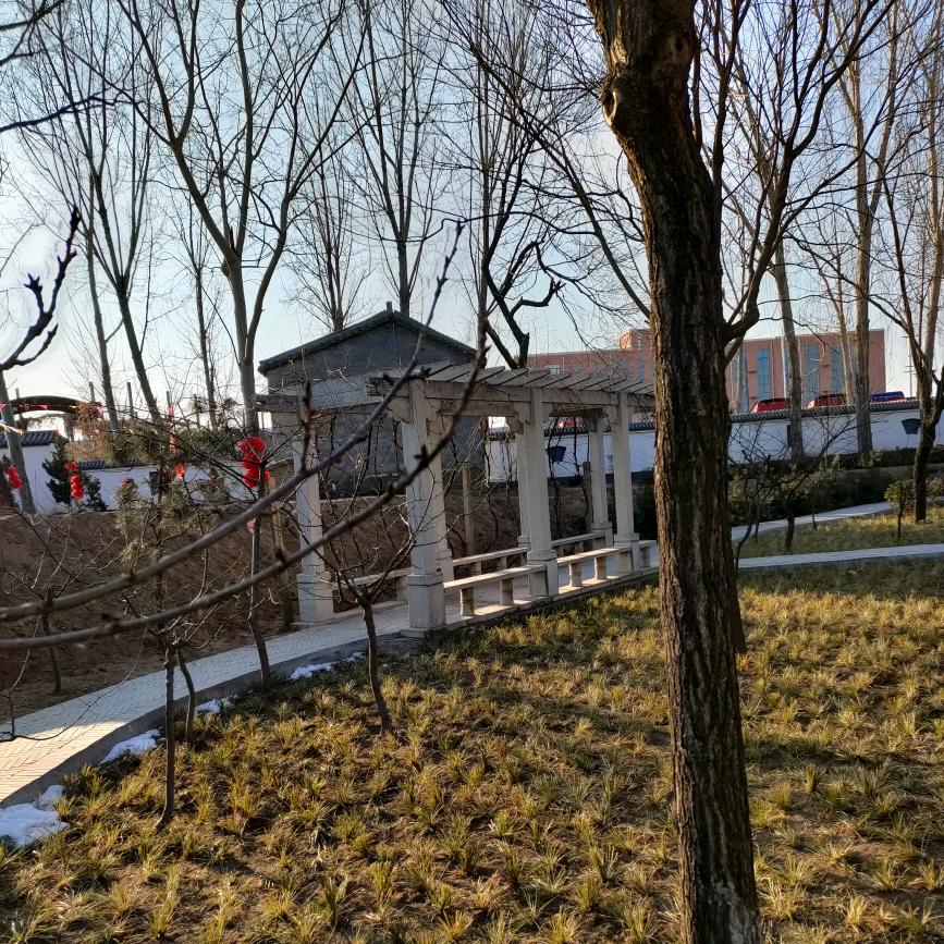 高大哥逛店