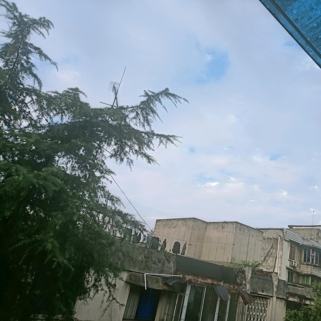 留心雨🐒🐵🙈头像