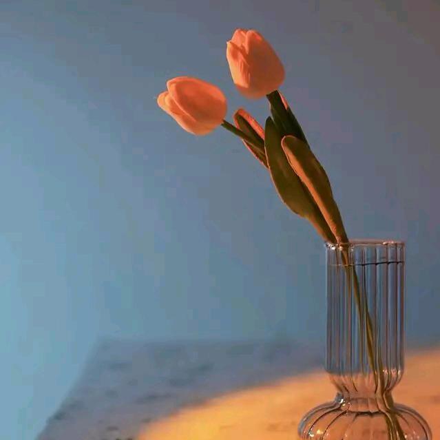 星期天去散步吧！！！