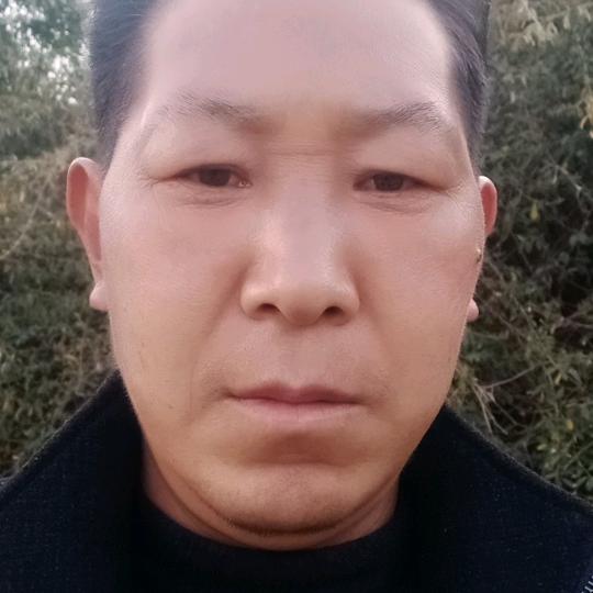 老来红