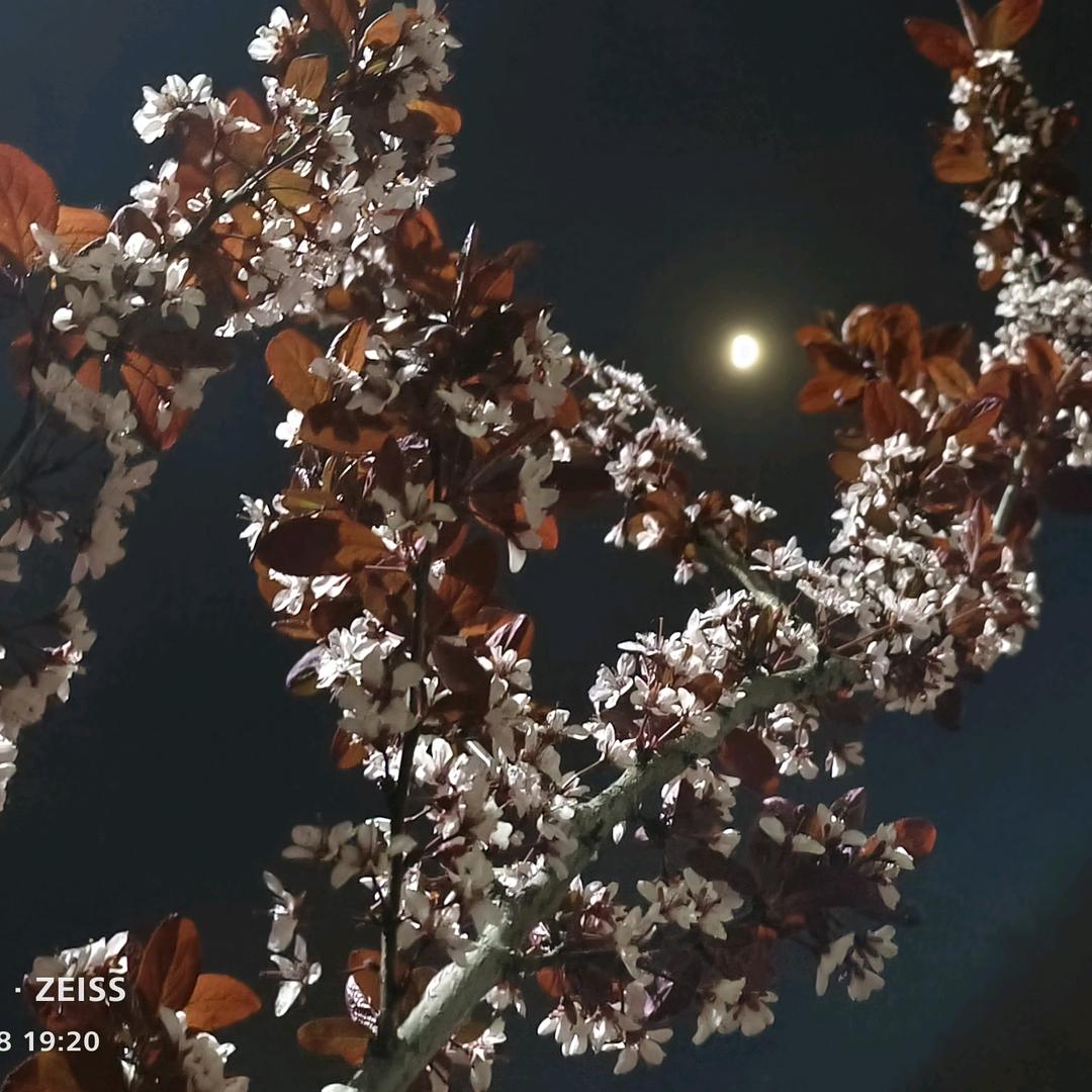 华姐带你吃喝玩乐