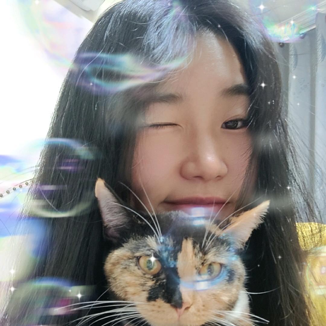 ✨今生今世✨