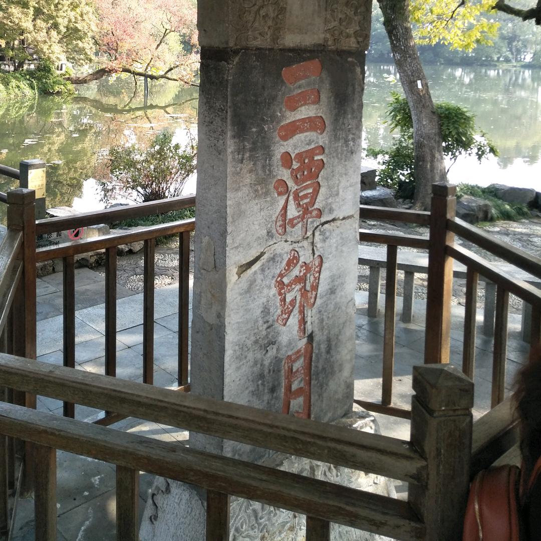 忘不了你伤害了我。