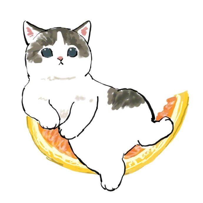 田野yeah