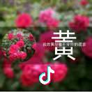 @💋回不去原点