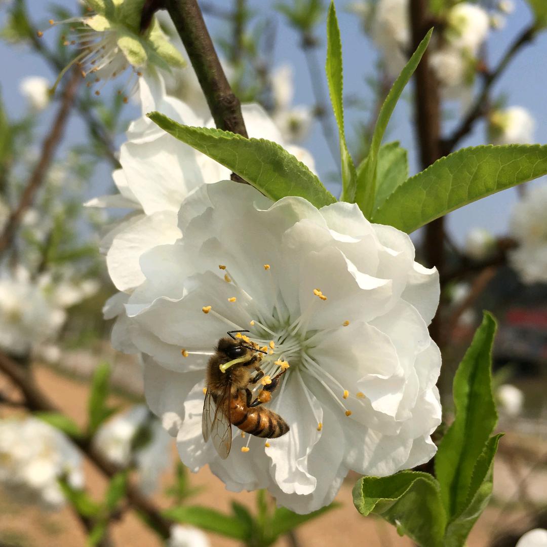 刘云辉