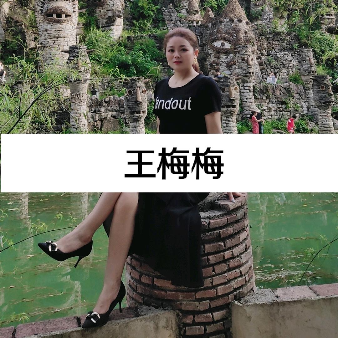 王梅梅