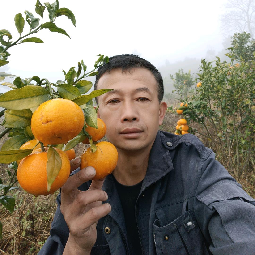 普洱达哥21:2O