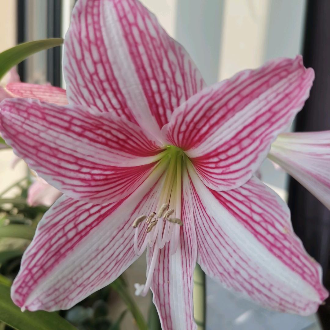 面朝大海春暖花开