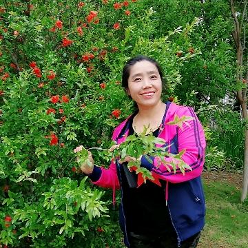 陈玲
