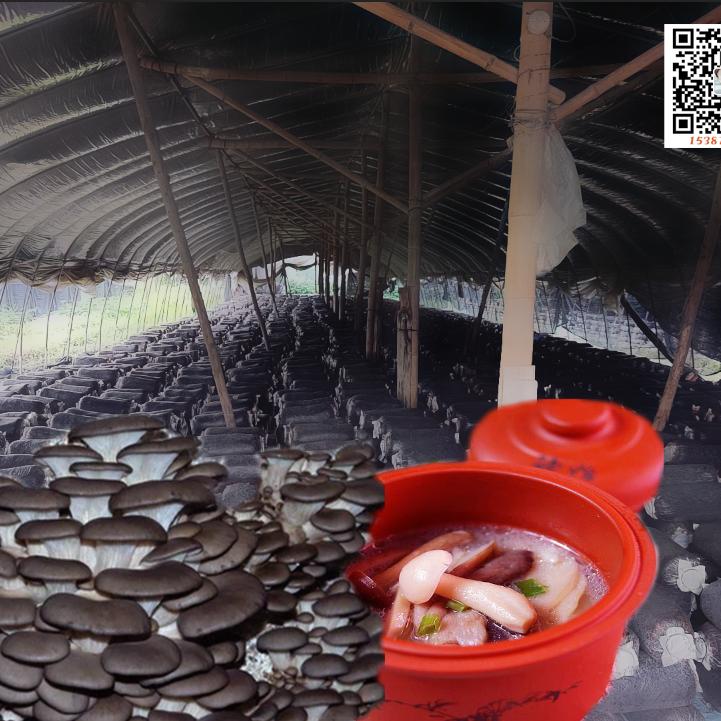 江西南昌蘑菇产业
