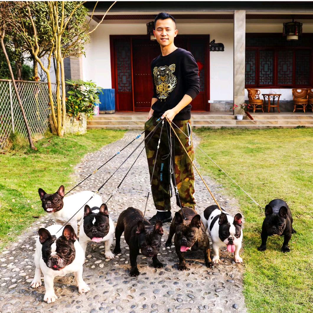 向往犬舍