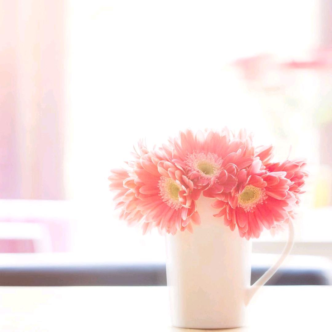 :开心快乐每一天