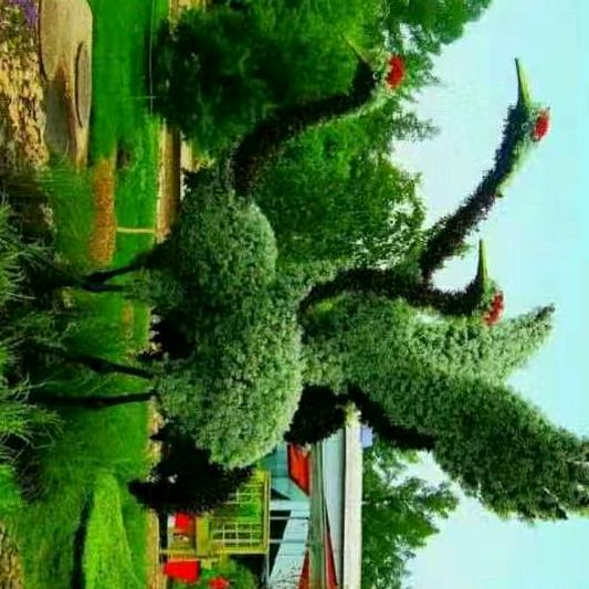 人生自由张杰哥