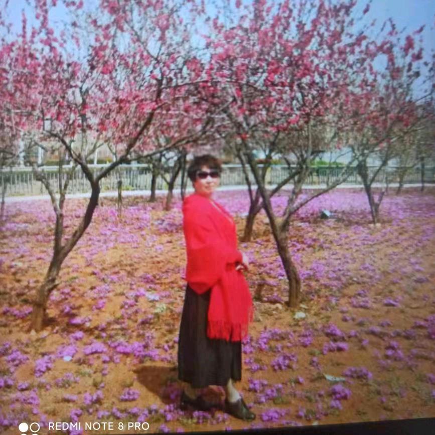 洛阳姐姐