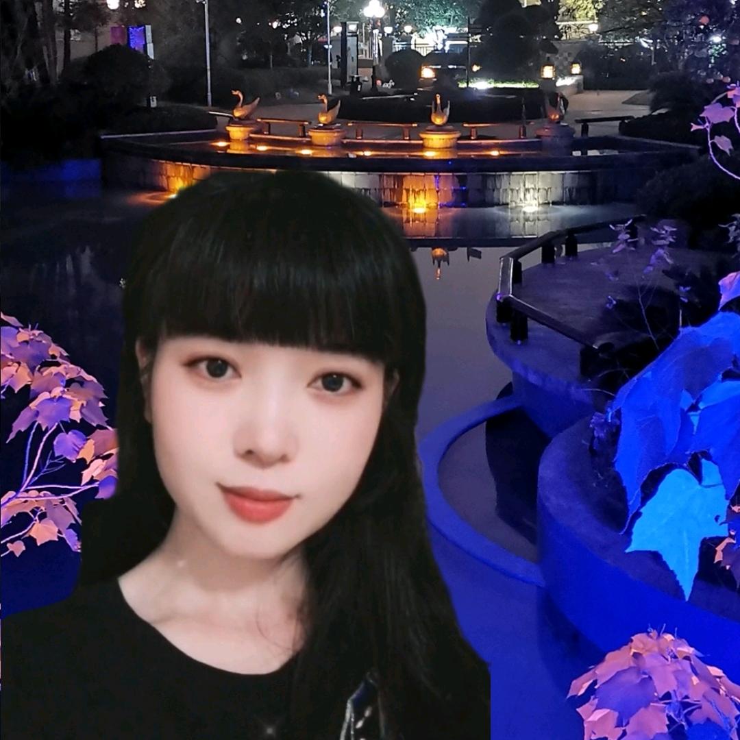 花的世界