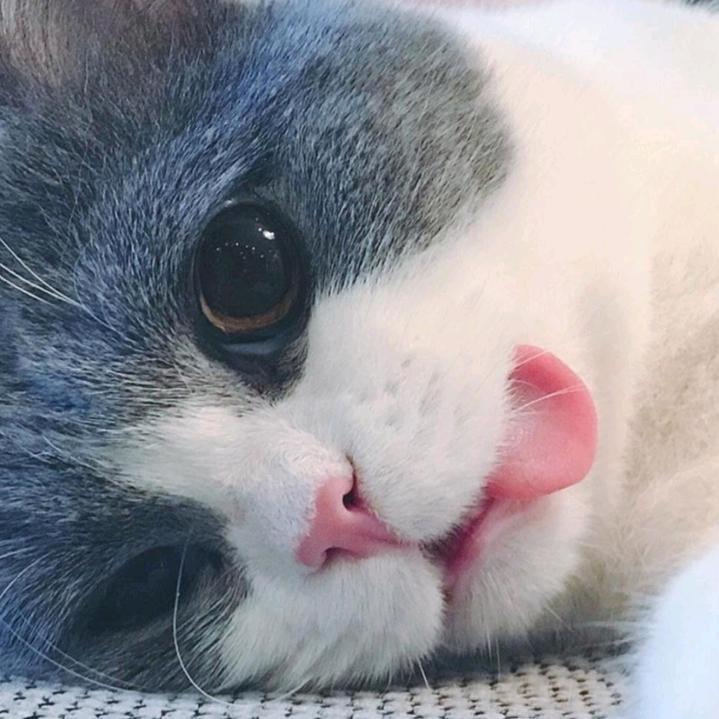 哐当