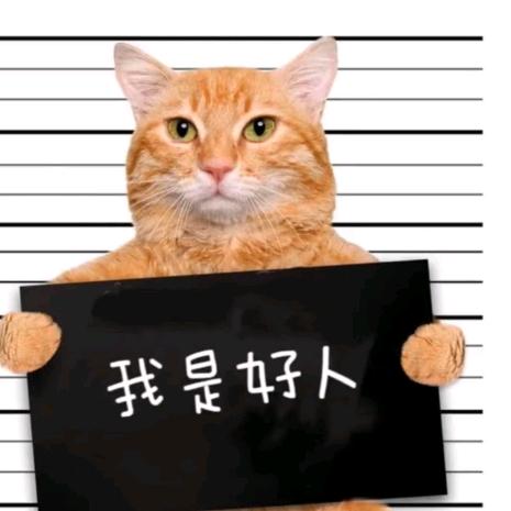 巴 Q