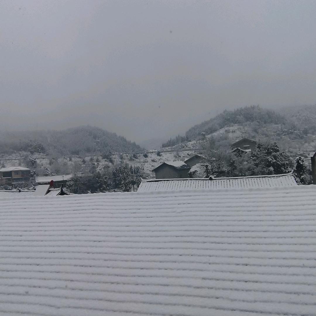 @建工～野钓🎣佬