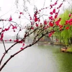 大胡子，美泉纯净水有限公司