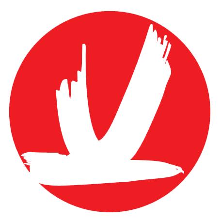 开悦文化