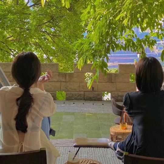 岸上风景