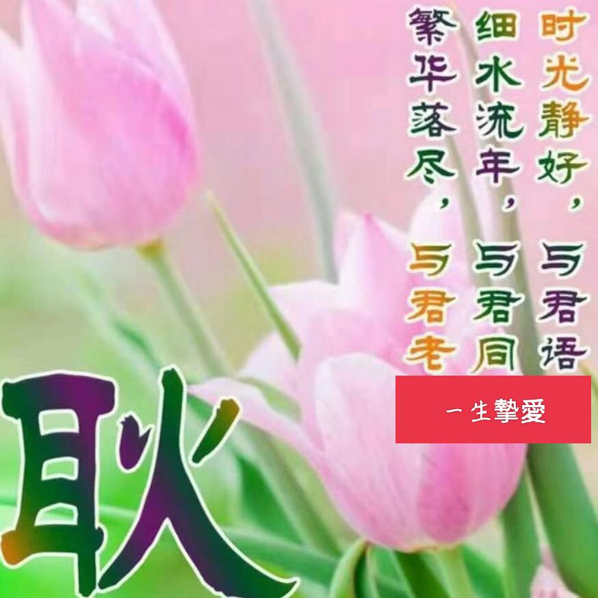 一🦋生🦋摯🦋爱🦋