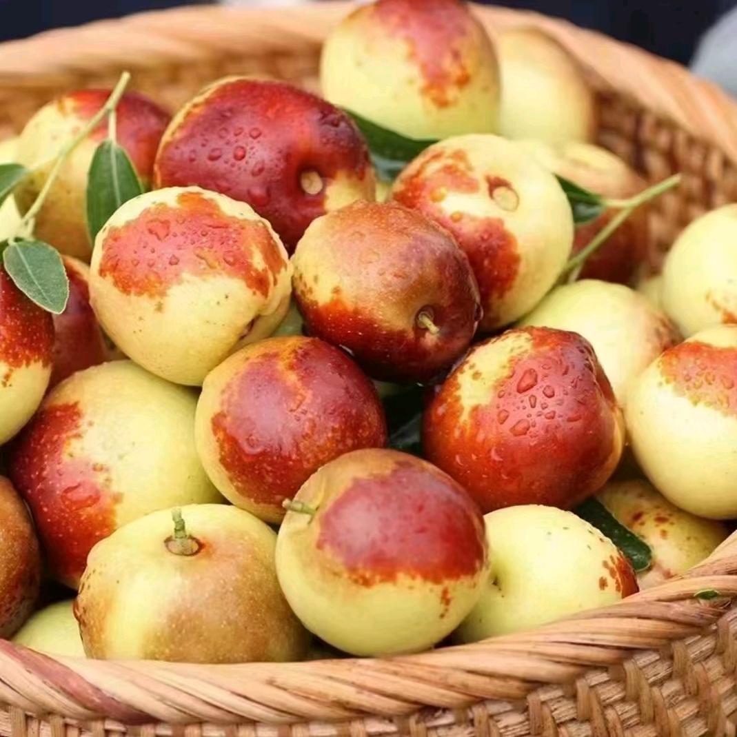 天津渤龙湖浩哥