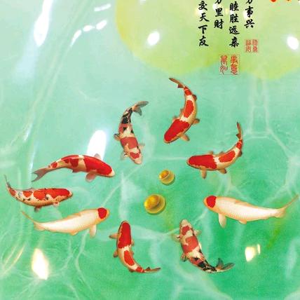 森林