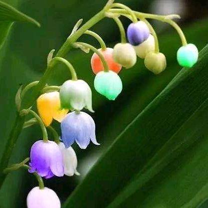 🌈淡如水🌈