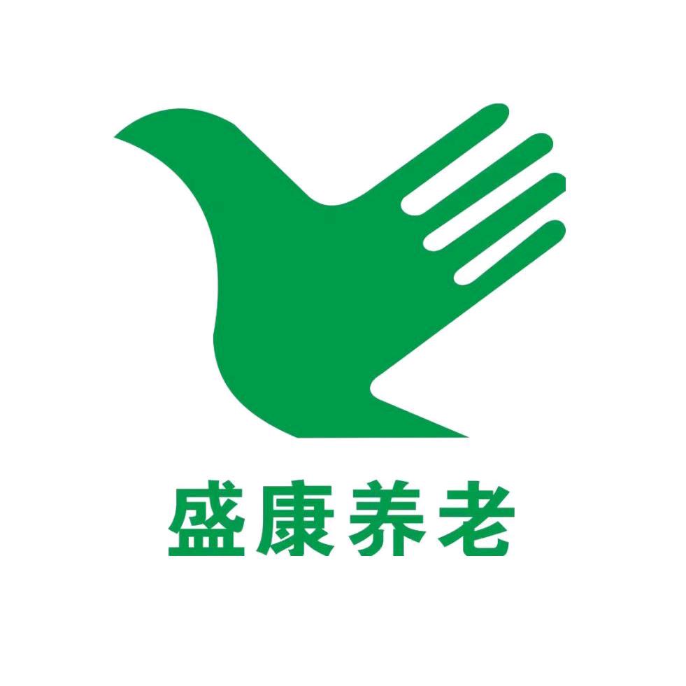 湖南盛康养老
